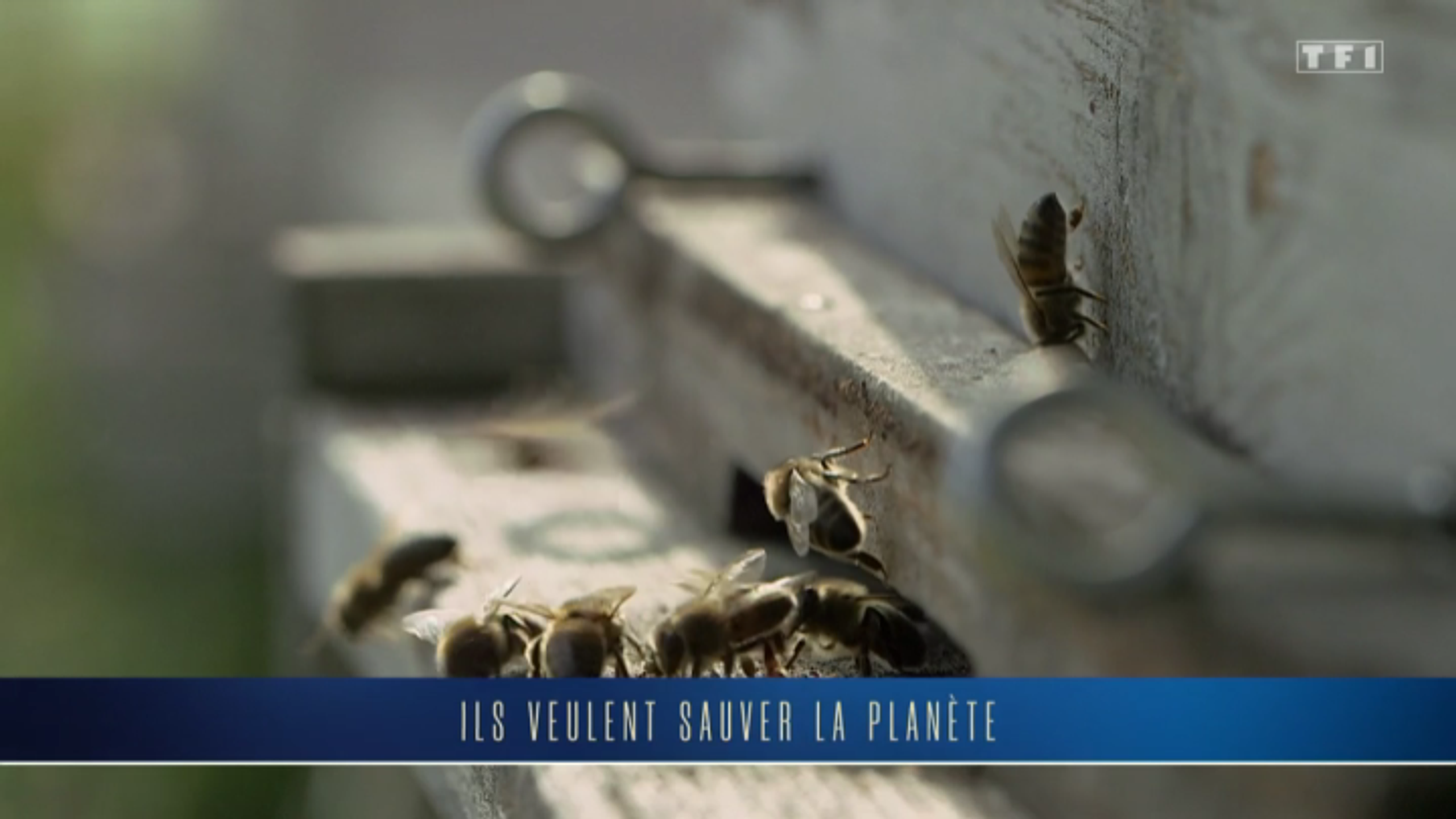La belle histoire de APIFILM : l'emballage réutilisable à la cire d'abeille français de INDUTEX
